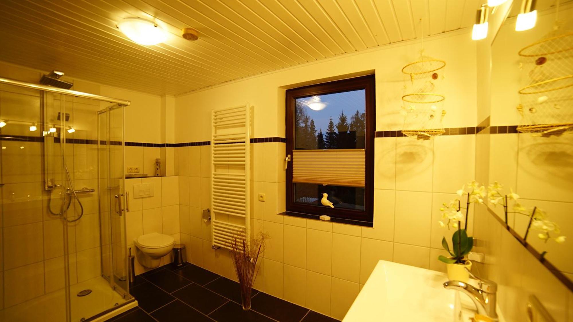 Ferienwohnung Im Wald Mit Kamin Bad Harzburg Exteriör bild