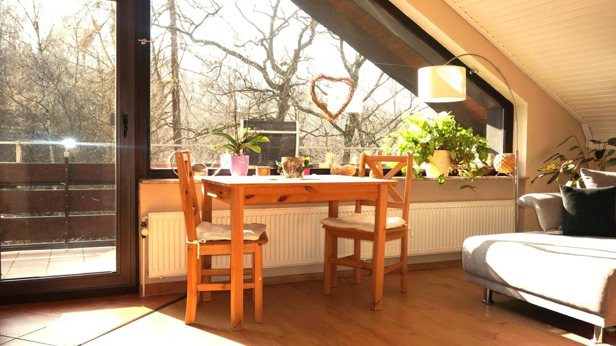 Ferienwohnung Im Wald Mit Kamin Bad Harzburg Exteriör bild
