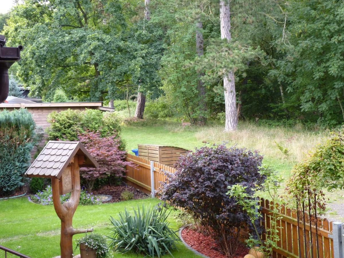 Ferienwohnung Im Wald Mit Kamin Bad Harzburg Exteriör bild